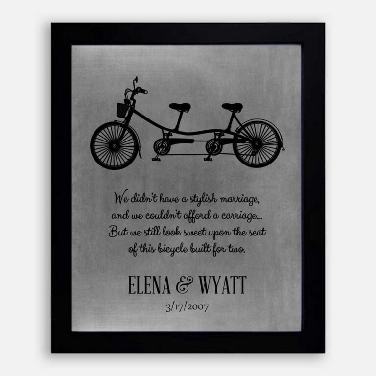 A Bicycle & 2 Seats