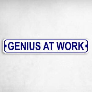 Genius at Work Novelty Metal Street Sign to add to your sign collection.