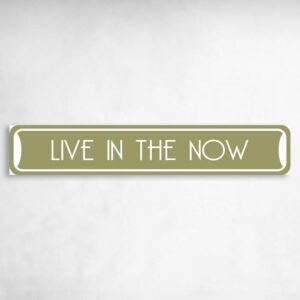 Live in the Now Collectible Eco-Friendly Novelty Sign Novelty Metal Street Sign to add to your sign collection.