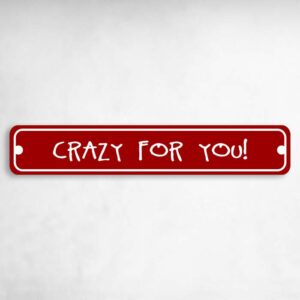 Crazy For You Valentine's Day Novelty Novelty Metal Street Sign to add to your sign collection.