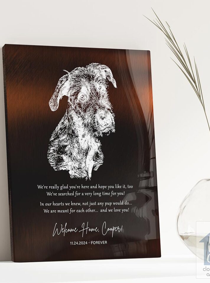 lt-2137_rm lt-2137_rm