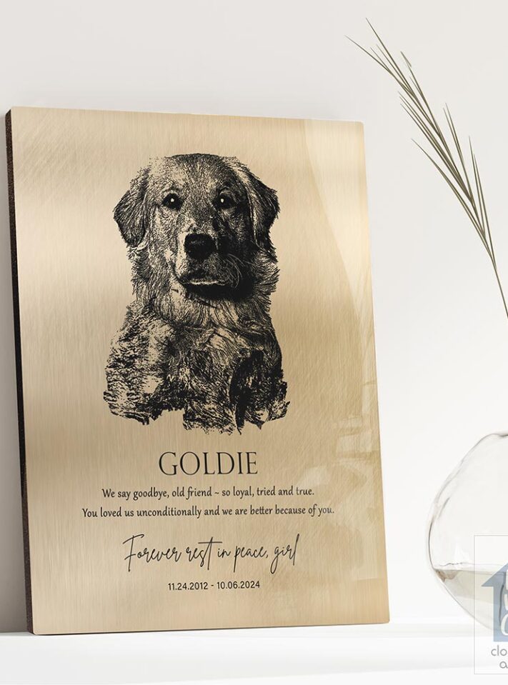 lt-2138_rm lt-2138_rm