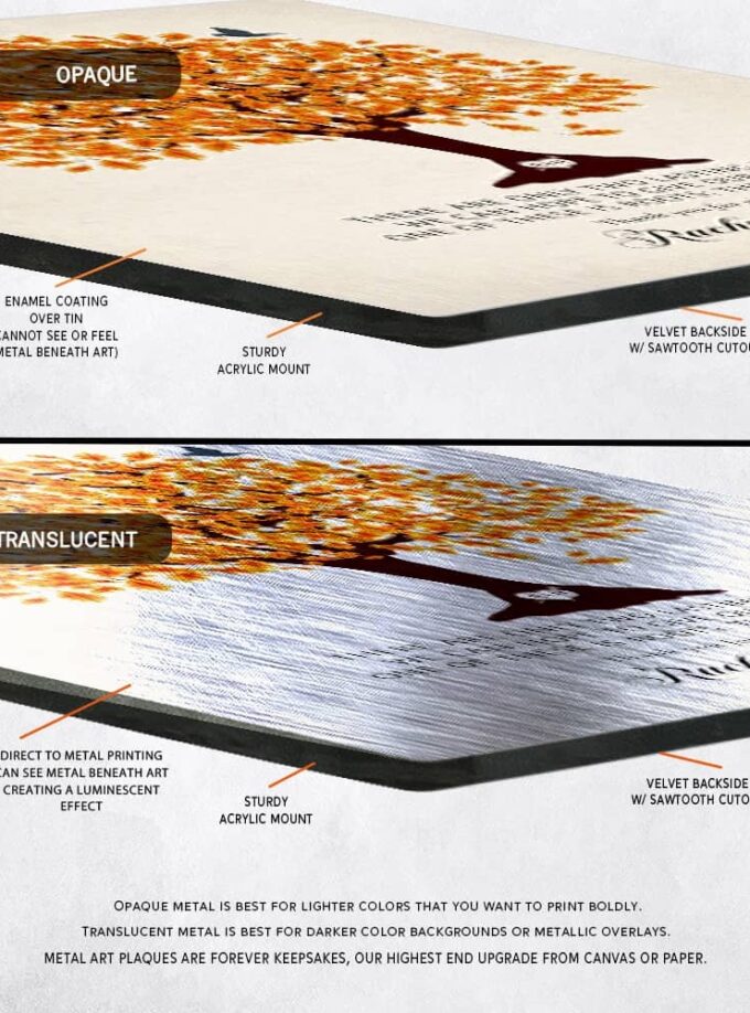 lt-1101_edge lt-1101_edge